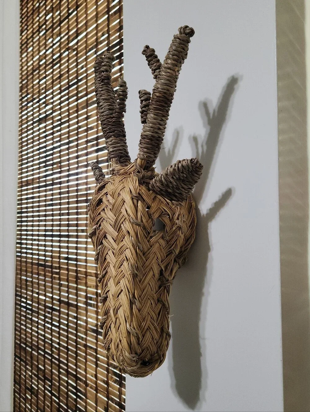 Bring Nature Indoors with Artful Craftsmanship